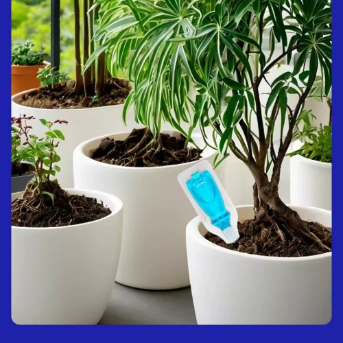 植物再生劑
